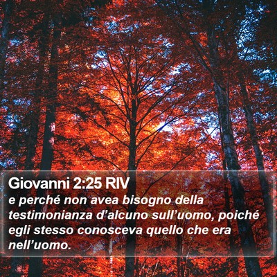 Giovanni 2:25 RIV Bible Verse Image
