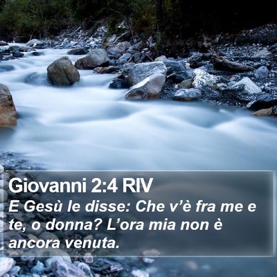 Giovanni 2:4 RIV Bible Verse Image