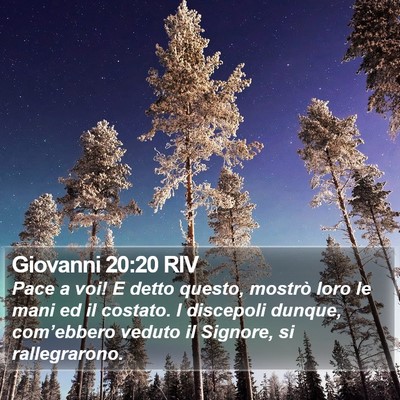 Giovanni 20:20 RIV Bible Verse Image