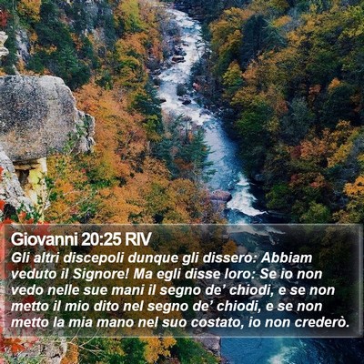 Giovanni 20:25 RIV Bible Verse Image