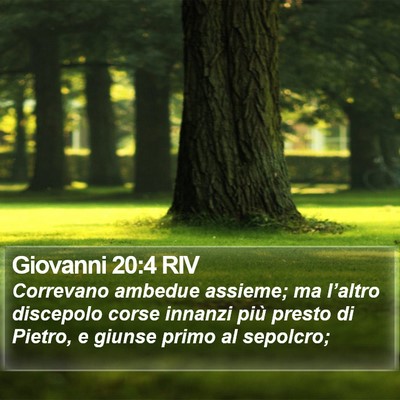 Giovanni 20:4 RIV Bible Verse Image