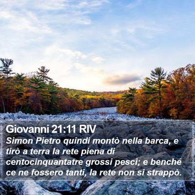 Giovanni 21:11 RIV Bible Verse Image