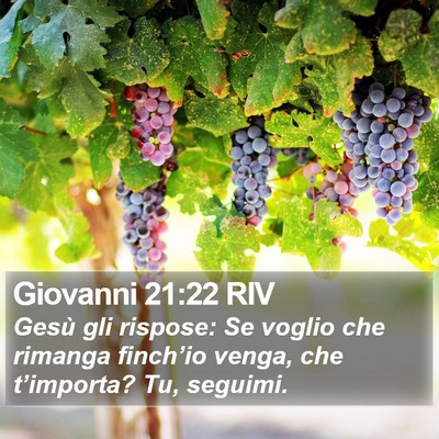 Giovanni 21:22 RIV Bible Verse Image