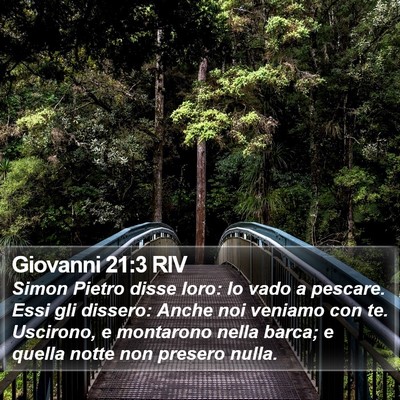 Giovanni 21:3 RIV Bible Verse Image
