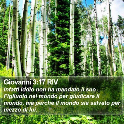 Giovanni 3:17 RIV Bible Verse Image