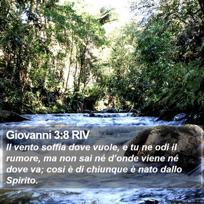 Giovanni 3:8 RIV Bible Verse Image