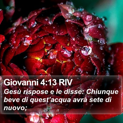 Giovanni 4:13 RIV Bible Verse Image