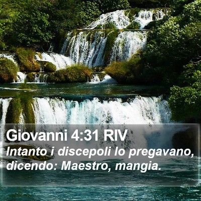 Giovanni 4:31 RIV Bible Verse Image