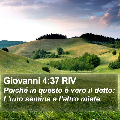 Giovanni 4:37 RIV Bible Verse Image
