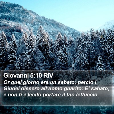 Giovanni 5:10 RIV Bible Verse Image