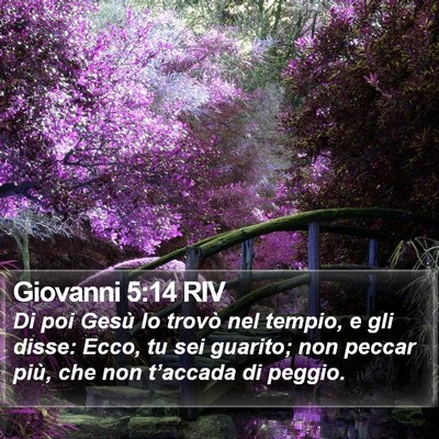 Giovanni 5:14 RIV Bible Verse Image