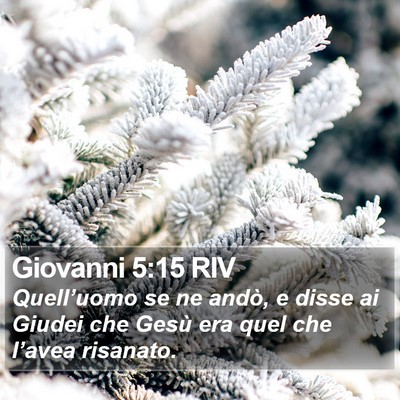Giovanni 5:15 RIV Bible Verse Image
