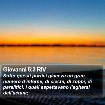 Giovanni 5:3 RIV Bible Verse Image