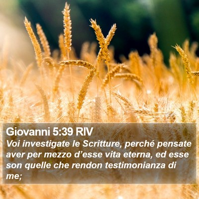 Giovanni 5:39 RIV Bible Verse Image