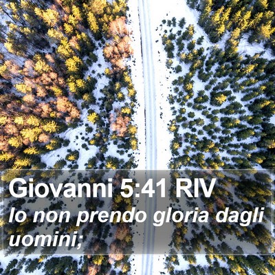 Giovanni 5:41 RIV Bible Verse Image