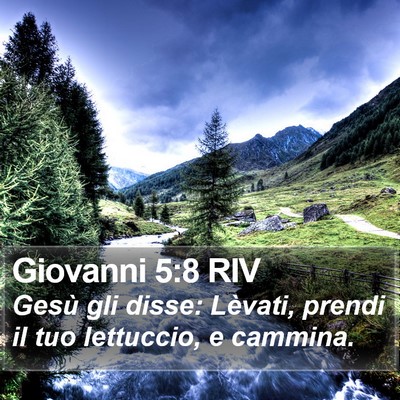 Giovanni 5:8 RIV Bible Verse Image