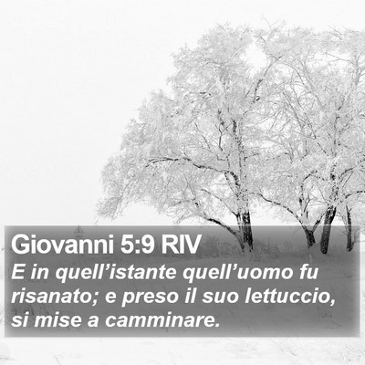 Giovanni 5:9 RIV Bible Verse Image