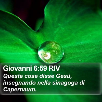 Giovanni 6:59 RIV Bible Verse Image