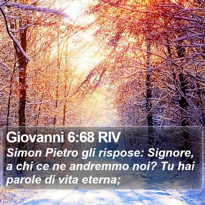 Giovanni 6:68 RIV Bible Verse Image