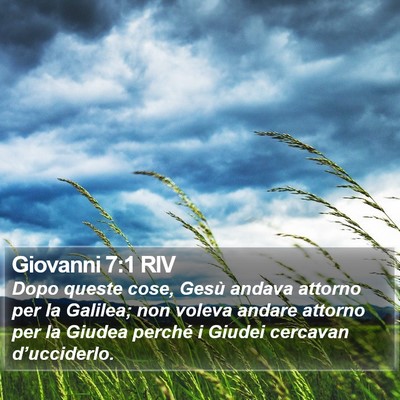 Giovanni 7:1 RIV Bible Verse Image