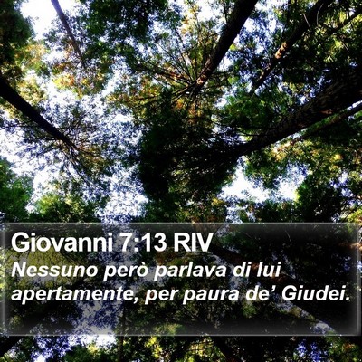 Giovanni 7:13 RIV Bible Verse Image