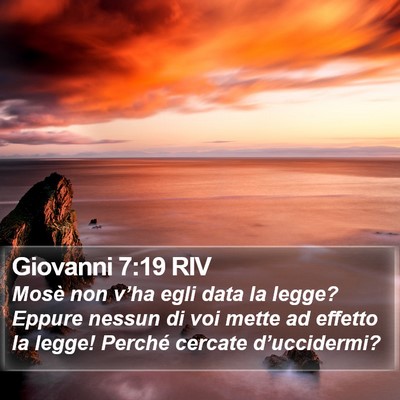 Giovanni 7:19 RIV Bible Verse Image