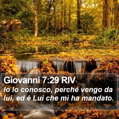 Giovanni 7:29 RIV Bible Verse Image