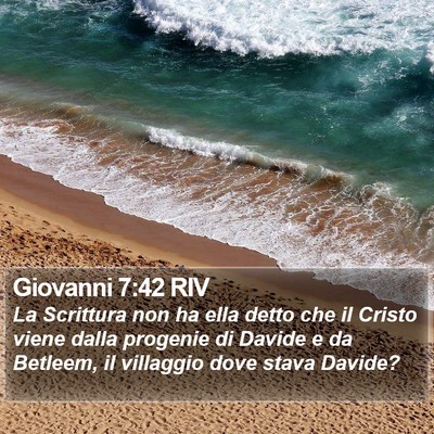 Giovanni 7:42 RIV Bible Verse Image