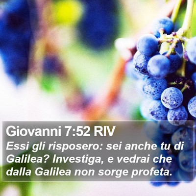 Giovanni 7:52 RIV Bible Verse Image
