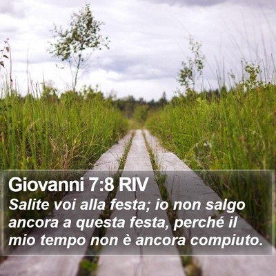 Giovanni 7:8 RIV Bible Verse Image