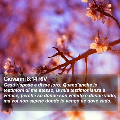 Giovanni 8:14 RIV Bible Verse Image