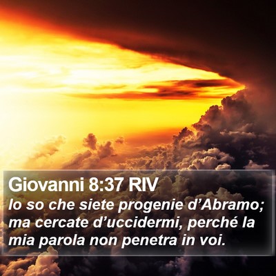 Giovanni 8:37 RIV Bible Verse Image