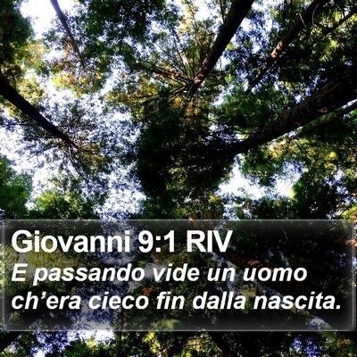 Giovanni 9:1 RIV Bible Verse Image
