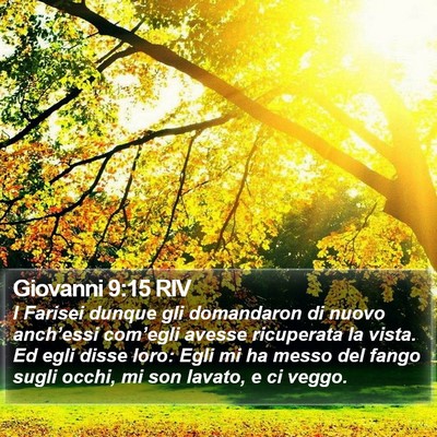 Giovanni 9:15 RIV Bible Verse Image
