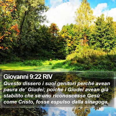 Giovanni 9:22 RIV Bible Verse Image