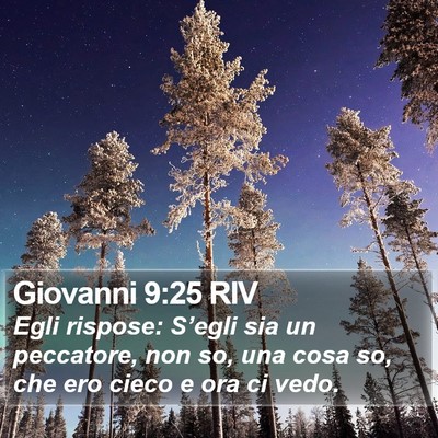 Giovanni 9:25 RIV Bible Verse Image