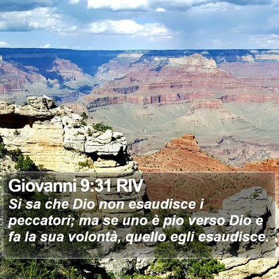 Giovanni 9:31 RIV Bible Verse Image