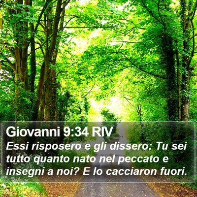 Giovanni 9:34 RIV Bible Verse Image