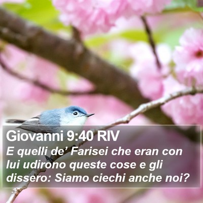 Giovanni 9:40 RIV Bible Verse Image