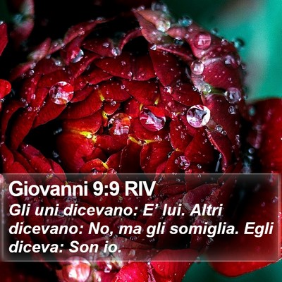 Giovanni 9:9 RIV Bible Verse Image