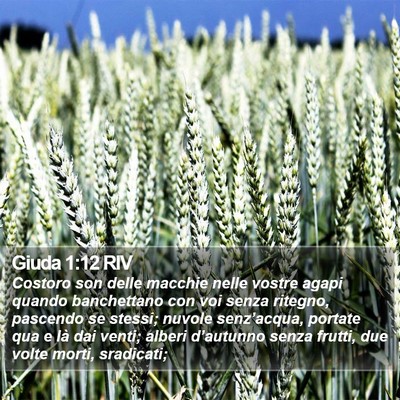 Giuda 1:12 RIV Bible Verse Image