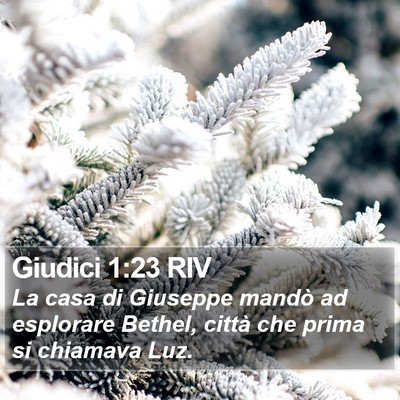 Giudici 1:23 RIV Bible Verse Image