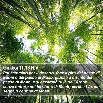 Giudici 11:18 RIV Bible Verse Image