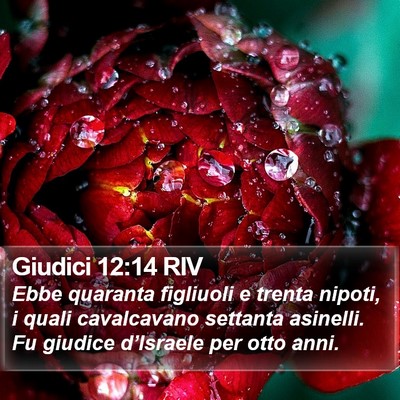 Giudici 12:14 RIV Bible Verse Image