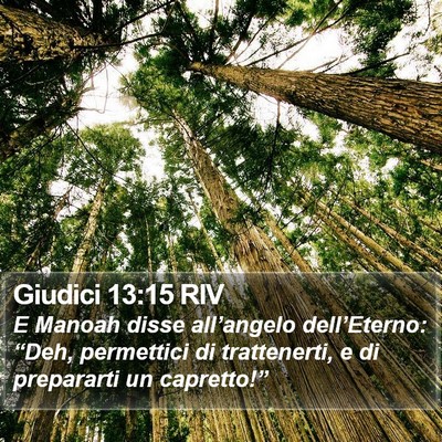 Giudici 13:15 RIV Bible Verse Image