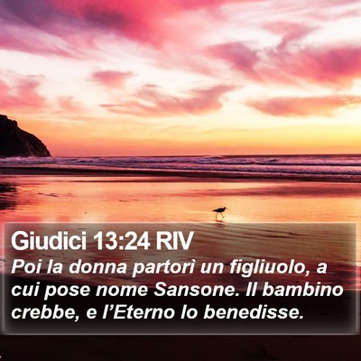Giudici 13:24 RIV Bible Verse Image