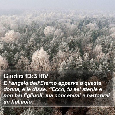 Giudici 13:3 RIV Bible Verse Image