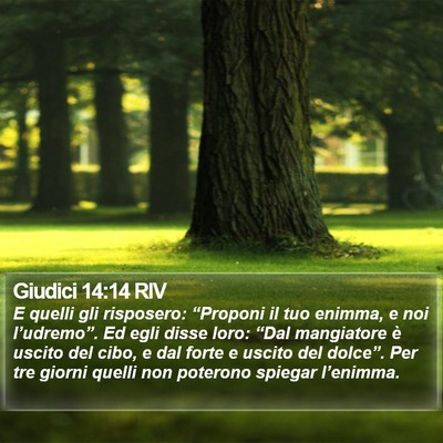 Giudici 14:14 RIV Bible Verse Image