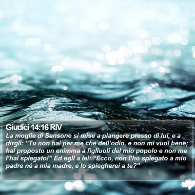 Giudici 14:16 RIV Bible Verse Image