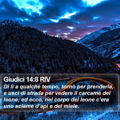 Giudici 14:8 RIV Bible Verse Image